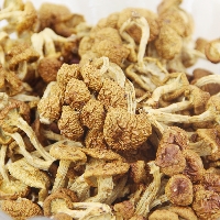 食惟天有机滑菇100g/袋