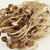 食惟天有机茶树菇120g/袋